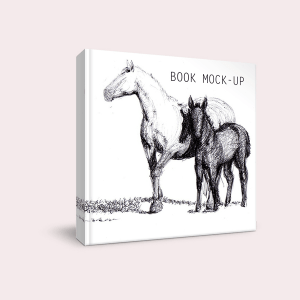 Book mock - up