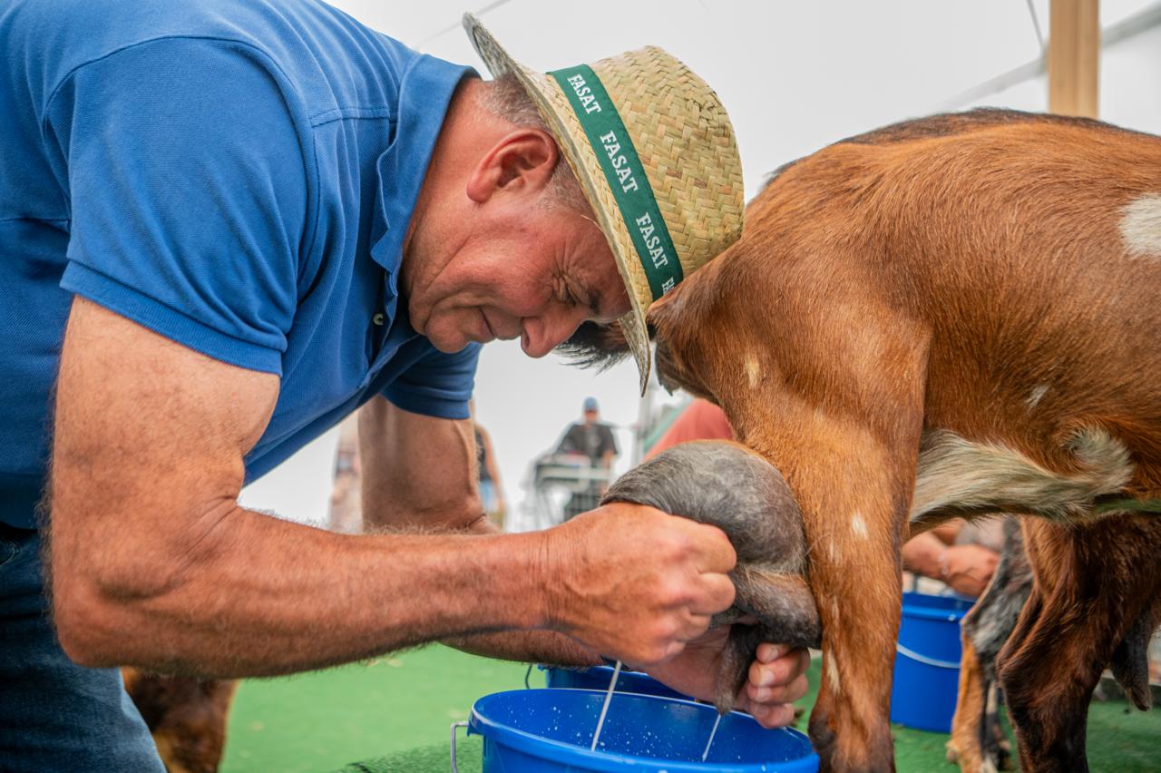 La V Feria de Ganadería, Agricultura y Pesca de Teguise cierra sus puertas consolidada como referente del sector primario en Lanzarote